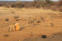 Alldays Safari Lodge - Limpopo, South Africa