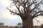Alldays Safari Lodge - Limpopo, South Africa