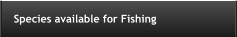 Species available for Fishing