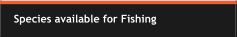 Species available for Fishing
